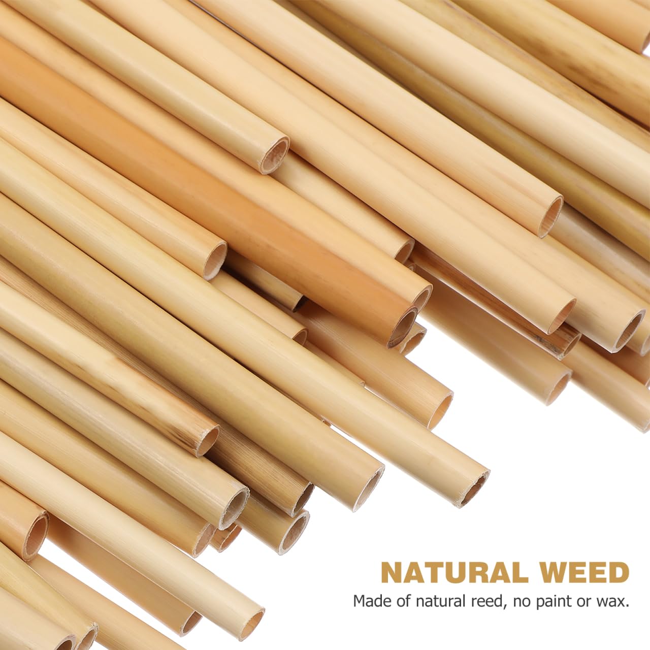 Mipcase Natural Reed Bee Tubes 200 Pack Mason Bee House Tubes Replacement Nest Liners for Pollination Breeding and Beekeeping Supplies 5.90In Length