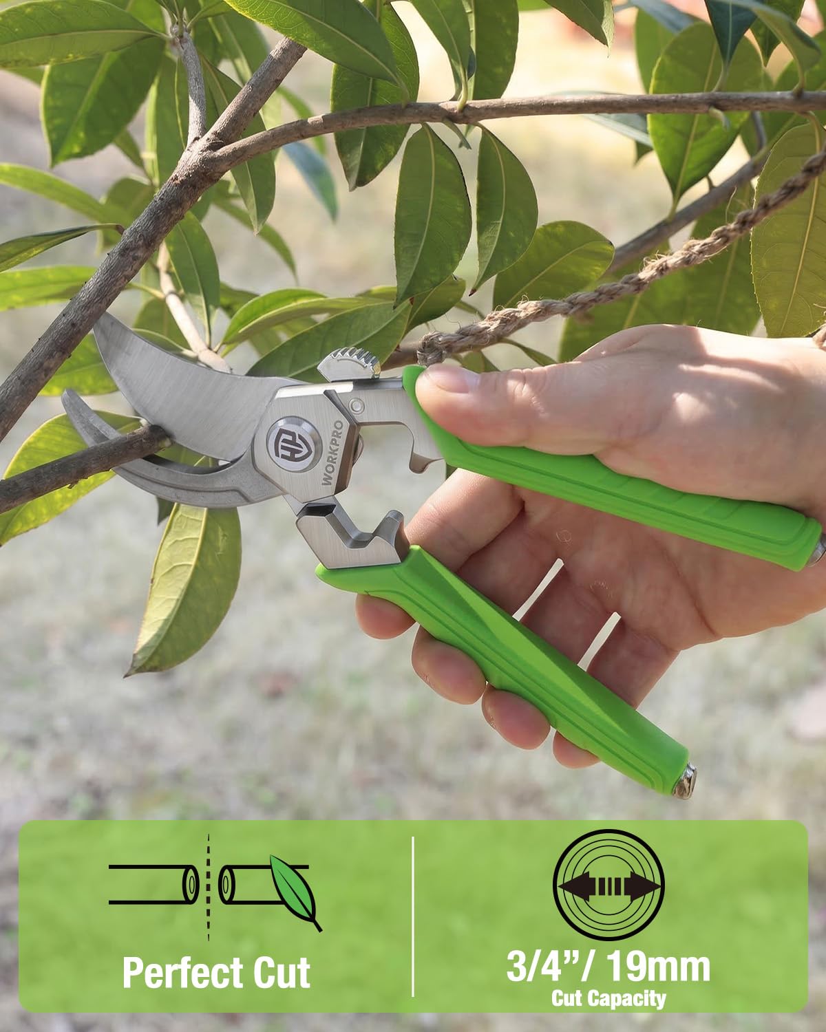WORKPRO 8.5" Bypass Pruning Shears, Professional Garden Shears with Forged Steel Blades, 3/4" Cut Capacity, Spring-Loaded, Safety Lock, Hand Pruner & Plant Clippers for Trimming, Bonsai, Flowers