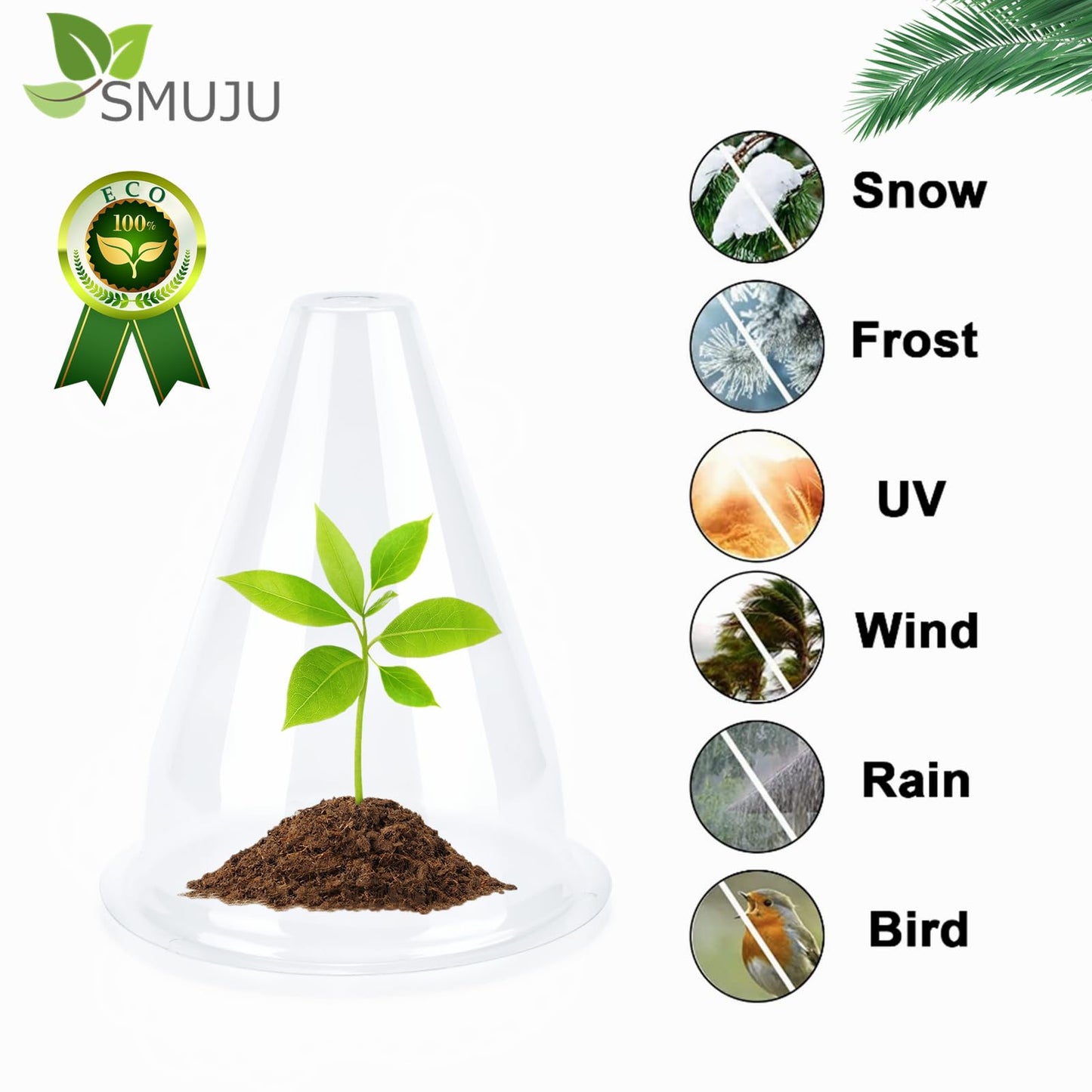 【24 Pieces】 Garden Cloches for Plants, Plant Cover Plant Protectors Transparent Bell Jar Cloches Protection Plants from Birds, Slugs, Frost, Freeze Weather, 7.8" D x 9.4" H, Transparent