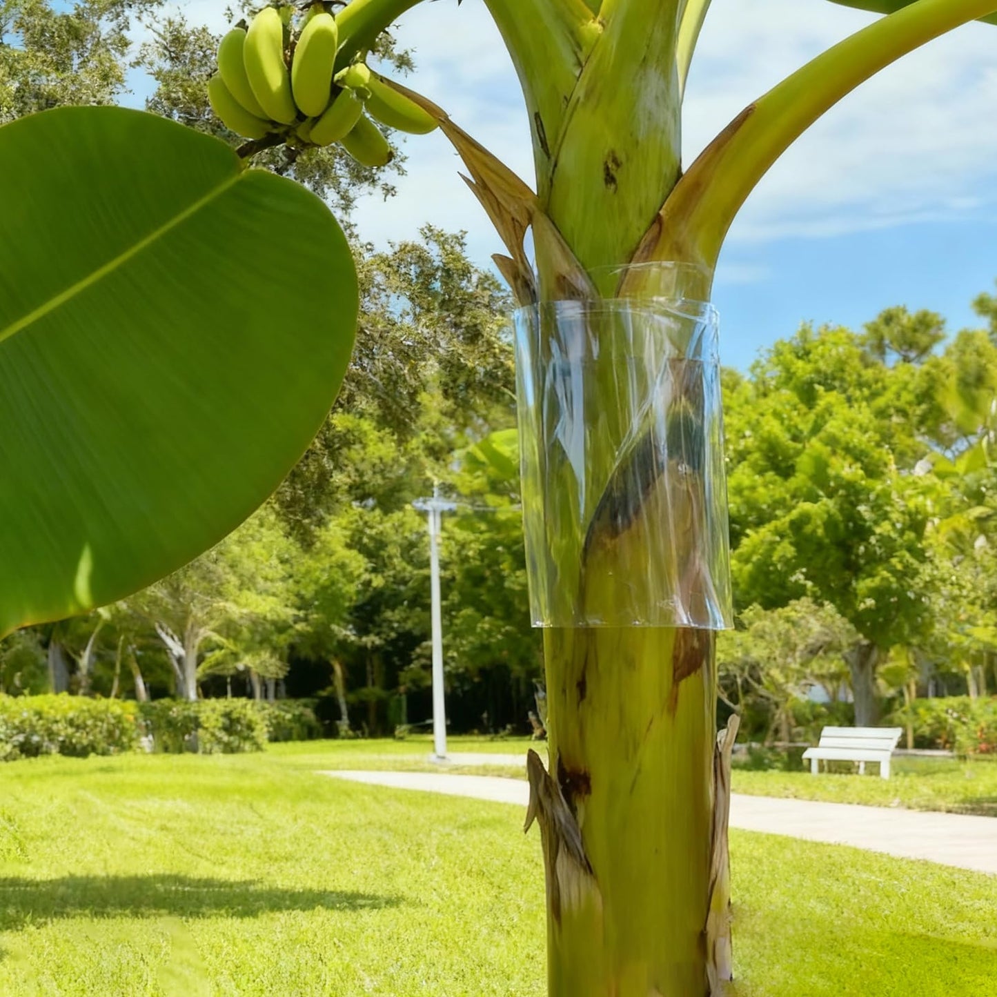 HZCGJMY Iguana Tree Wrap Tree Trunk Protector Guard for Iguana Prevention Climbing Trees with Tape Reusable Tree-Safe Guard (80" x 16")