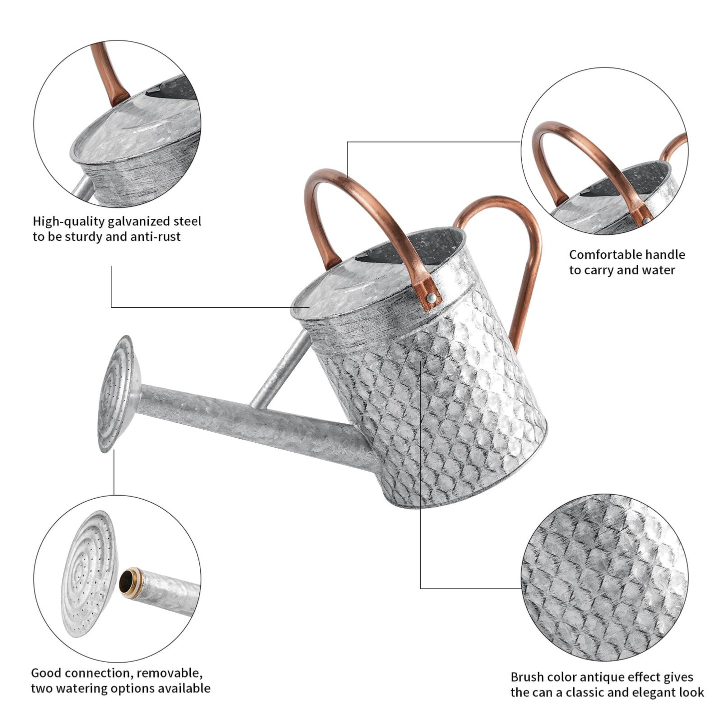 BLstyle 1 Gallon Metal Watering Can for Outdoor Indoor Plants, Galvanized Watering Can with Removable Spray Spout, Ideal for Garden Watering