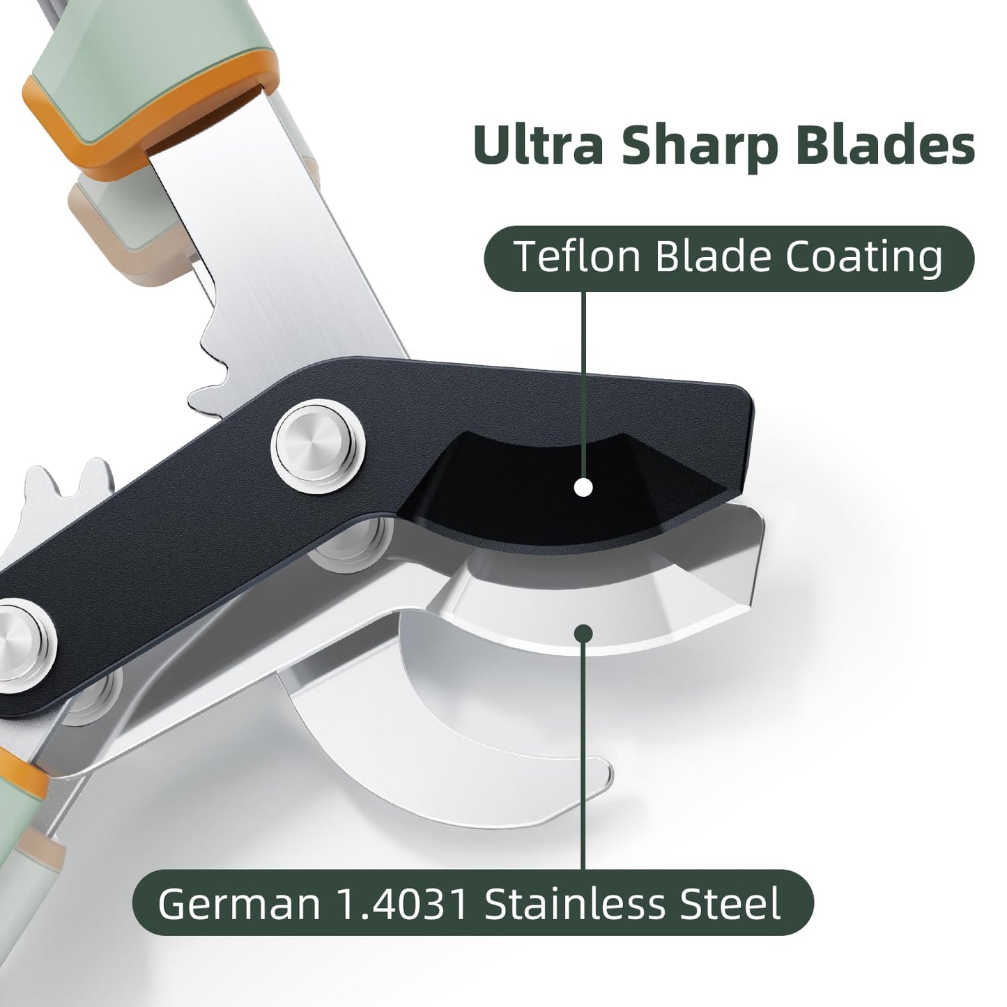 PrunePro Loppers for Tree Trimming Stainless Steel Branch Cutter Heavy Duty Bypass Tree Pruner Rust Resistant Sharp Blade Up to 2" Tree Limb Trimmer for Gardening