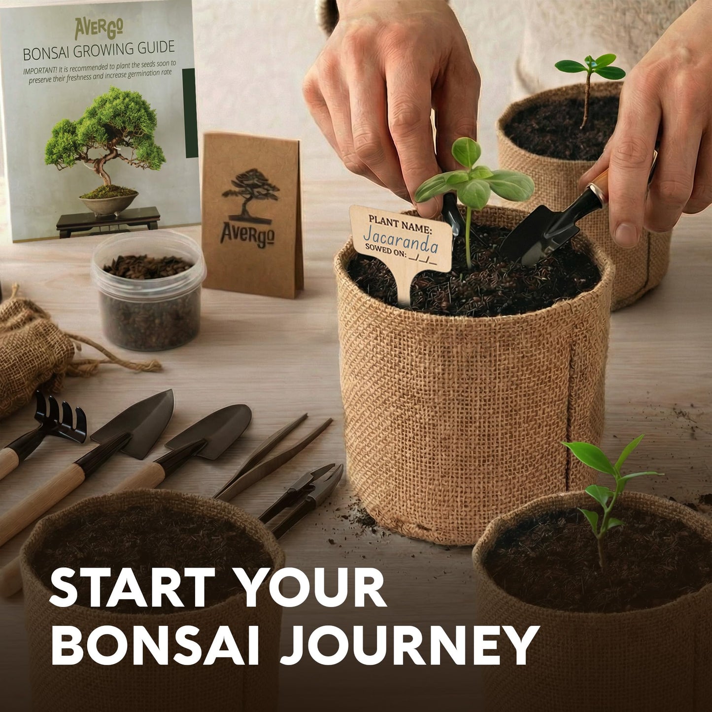 Bonsai Tree Kit for Beginners – 5X Unique Japanese Bonzai Trees | Complete Indoor Bonsai Starter Kit for Growing Bonsai Plants with Tools & Planters – DIY Gardening Gifts for Women & Men