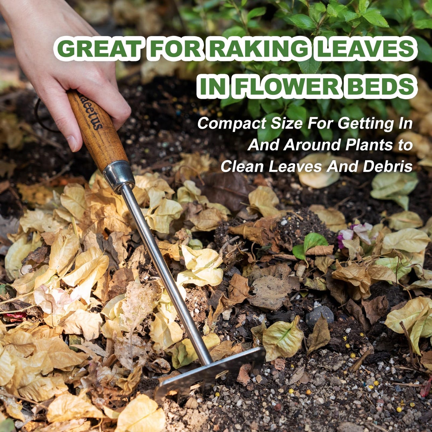 Haliaeetus Hand Rake Garden Tool, Stainless Steel Small Rake for Raking Leaves in Flower Beds, 5 Tines Hand Tiller Make Loosening Soil A Snap, Hand Cultivator with Comfortable Handle for Quick Weeding