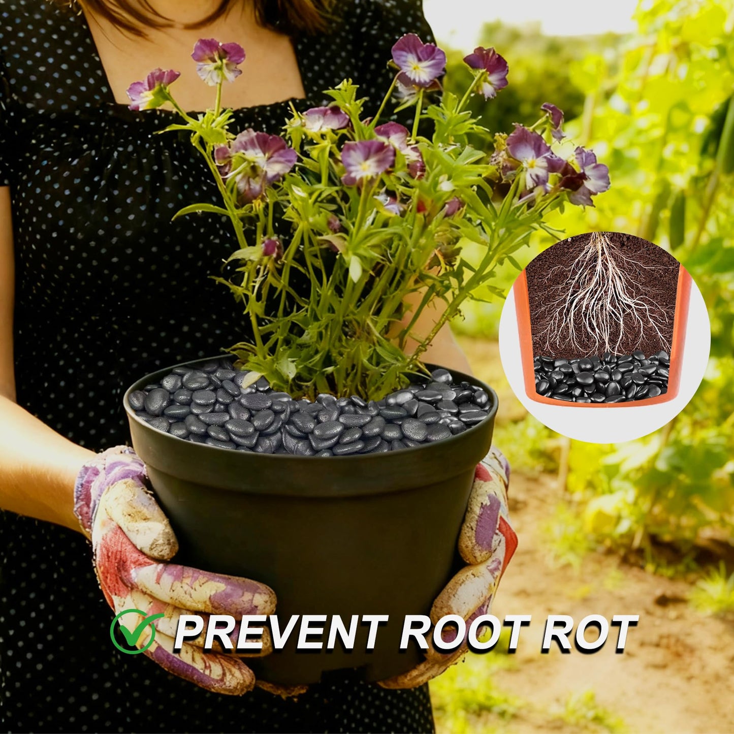 Garrdeen 5LB Black Polished River Rocks, 0.5–1.0 inch Small Pebbles for Indoor Plants, Aquarium Rocks, Fish Tank Gravel, Decorative Stones for Planters, Vase Fillers & Landscaping Decor