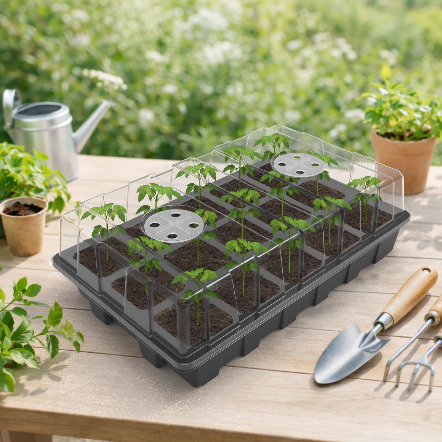 Gardzen 5-Pack Seed Starter Kits, Reusable Plant Germination Trays with Total 75-Cell, Seed Starter Tray with Humidity Vented Domes and Bases for Starting Vegetable Flower Herb Seeds 15" x 9"