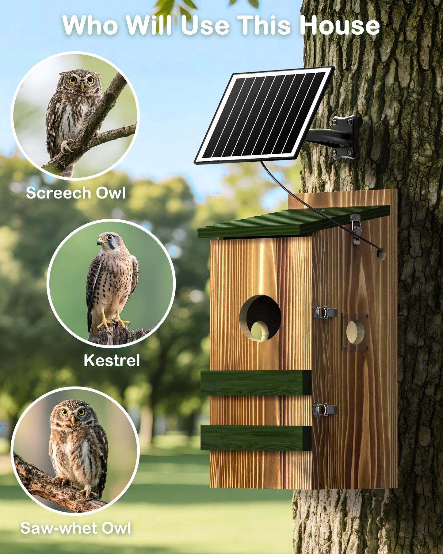 Owl House with Camera Solar Powered,4G Cellular, Anti-Corrosion Varnish Pinewood,Owls Nesting Box for Screech owl, 2K HD, Instant Alerts, Night Vision, APP Control,Nest Box for Outside๏ผNOT WiFi๏ผ