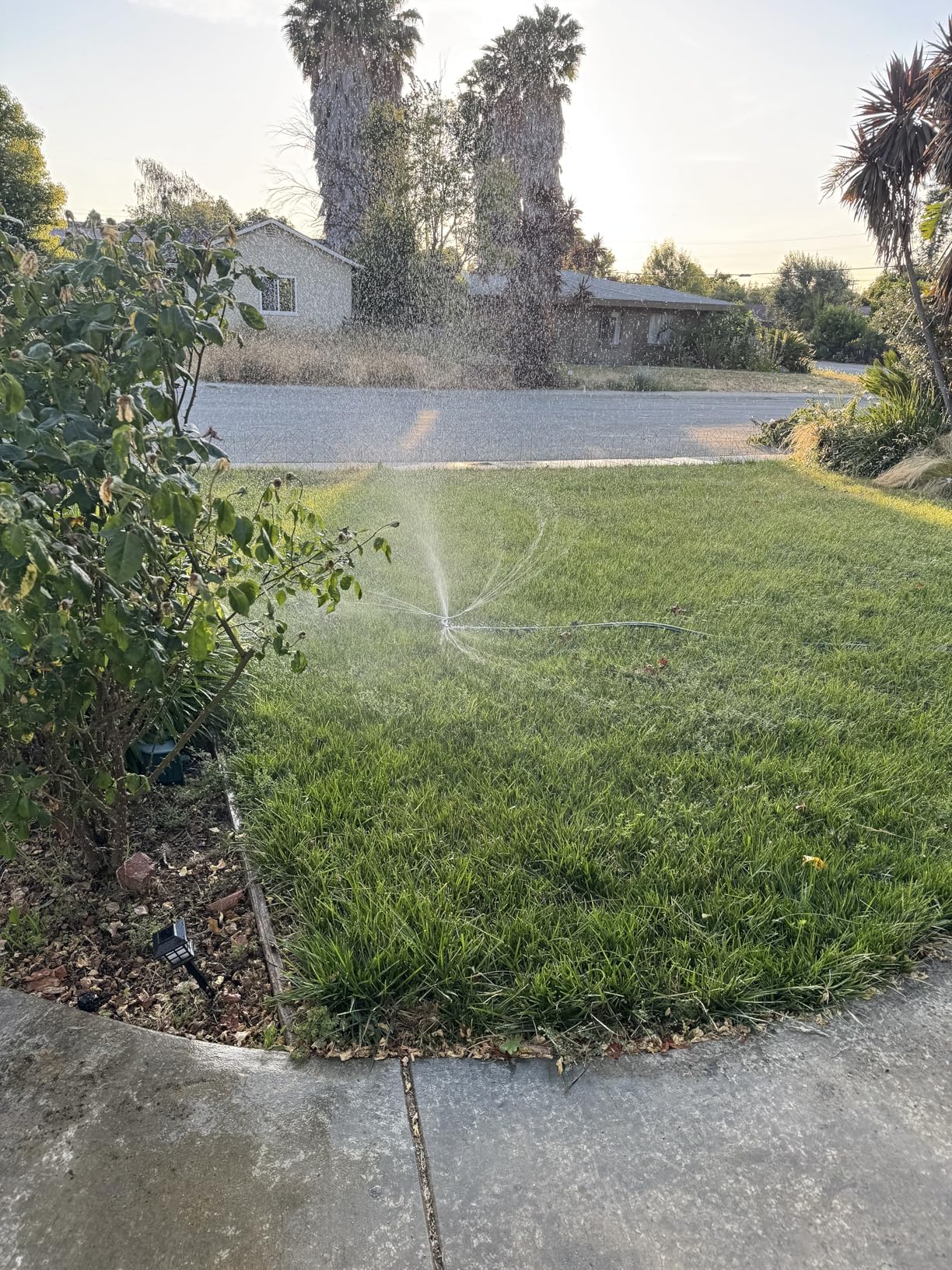 STYDDI Metal Rotating Water Sprinkler for Lawn, Heavy Duty Metal 3-Arms Whirling 360 Degree Automatic Rotary Sprinkler with Wheeled Base for Small Areas, Garden, Yard, Cover up to 1,384 Sq. ft.