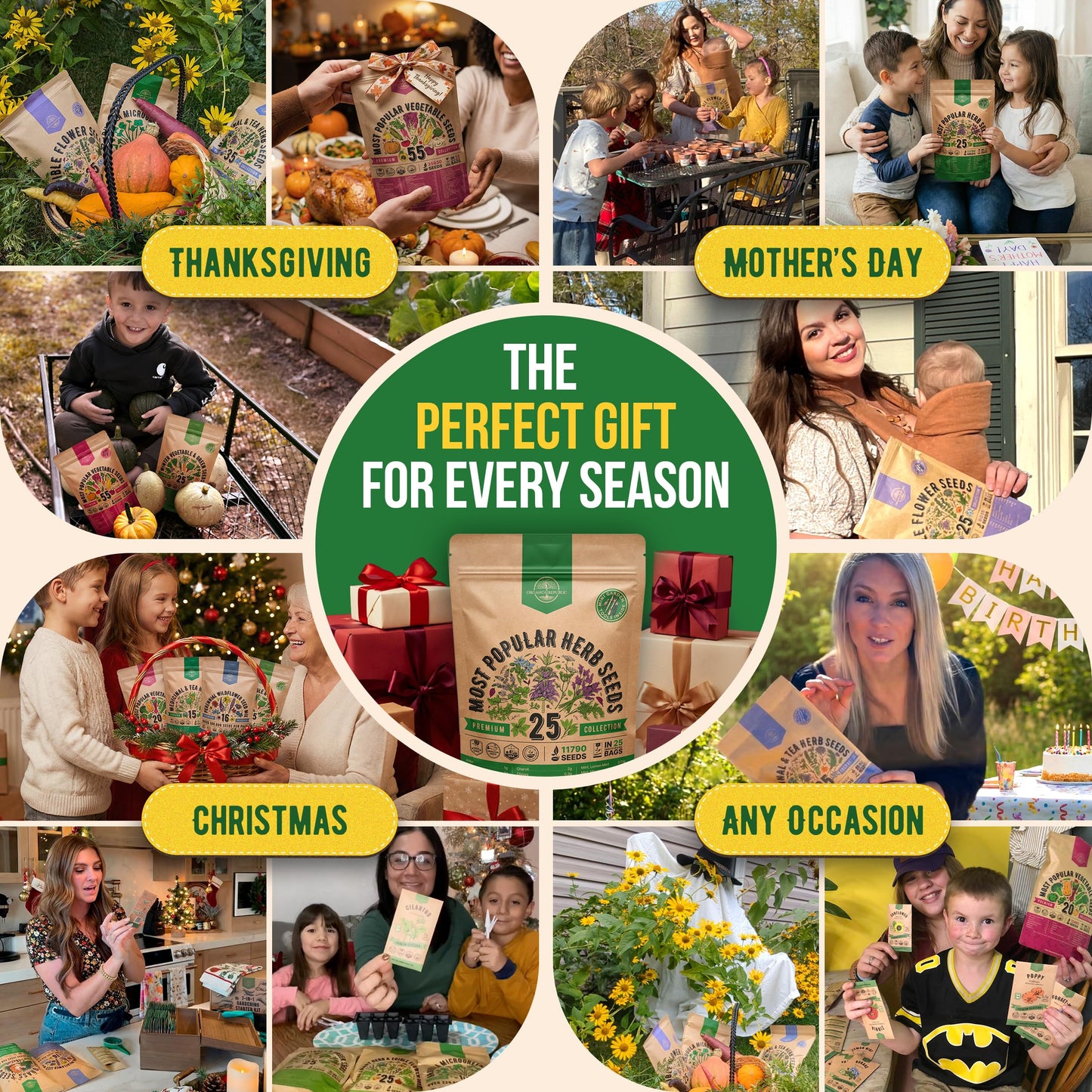 25 Most Popular Herb Seeds Variety Pack - 11,700 Non-GMO Heirloom Seeds for Planting Herbs in Individual Seed Packets for Hydroponic, Indoor & Outdoor Gardening - 2026 Season: Catnip, Dill, Thyme
