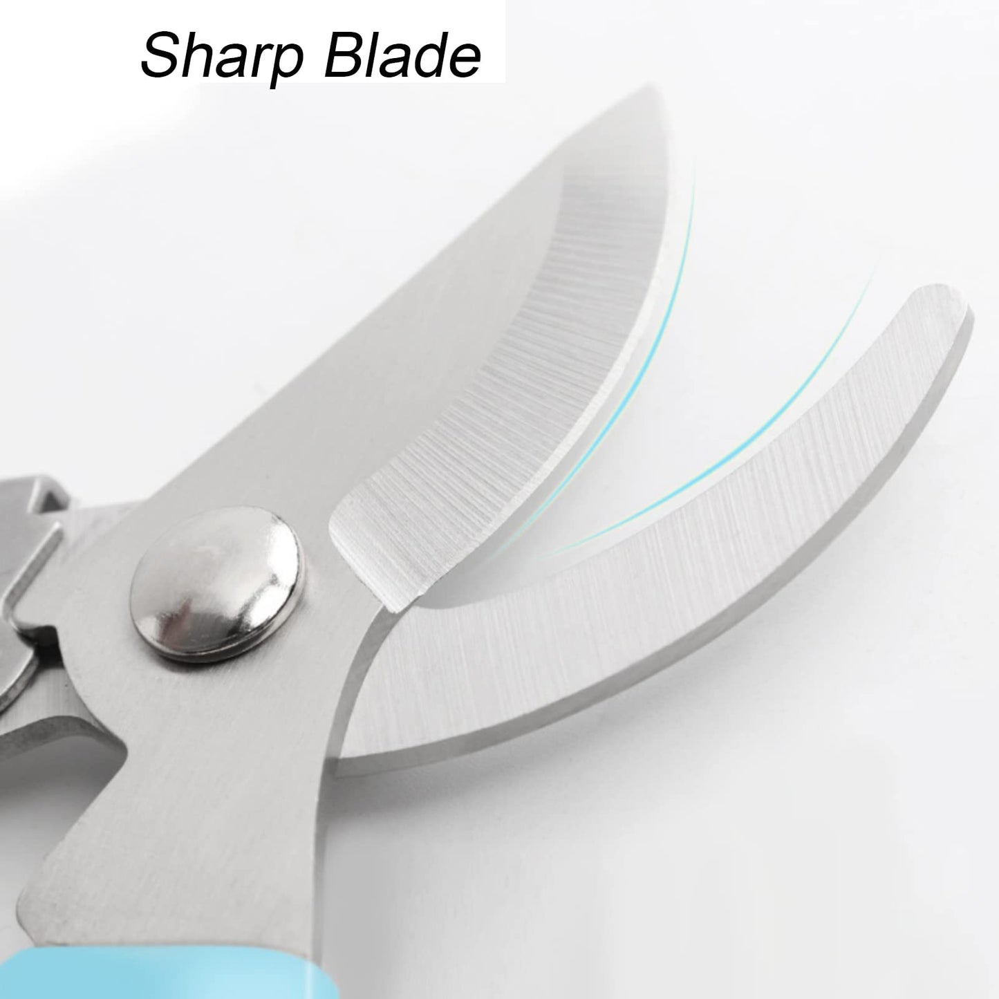 Curve Gardening Scissor with Sharp Stainless Steel Blade Garden Shears for Cutting Flowers Trimming Plants of Yard Florist Flower Rose Herb Hedge Bonsai and Fruits Picking (Pink Handle)
