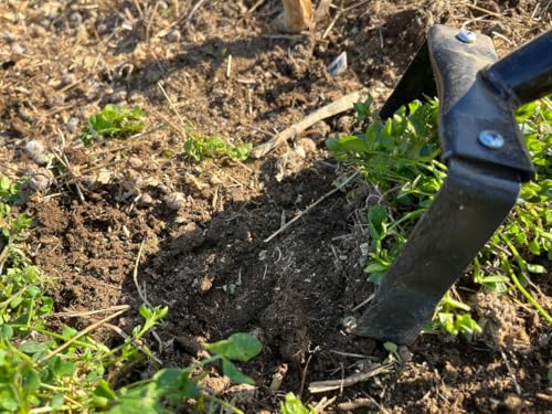 Flexrake Hula Hoe 500W Hand Weeder – 16 Inch Oscillating Stirrup Hoe Garden Tool, Wood Handle with Rubber Grip, Manual Weed Cutter & Cultivator for Flower Beds, Vegetable Gardens & Soil Loosening Tool
