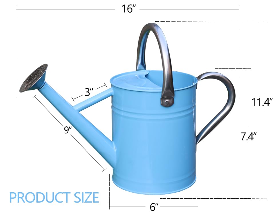 yourjoy Metal Watering Can, One Gallon Watering Cans Stainless Steel for Outdoor Indoor Garden Plants Watering (Stainless Steel Handle Blue)