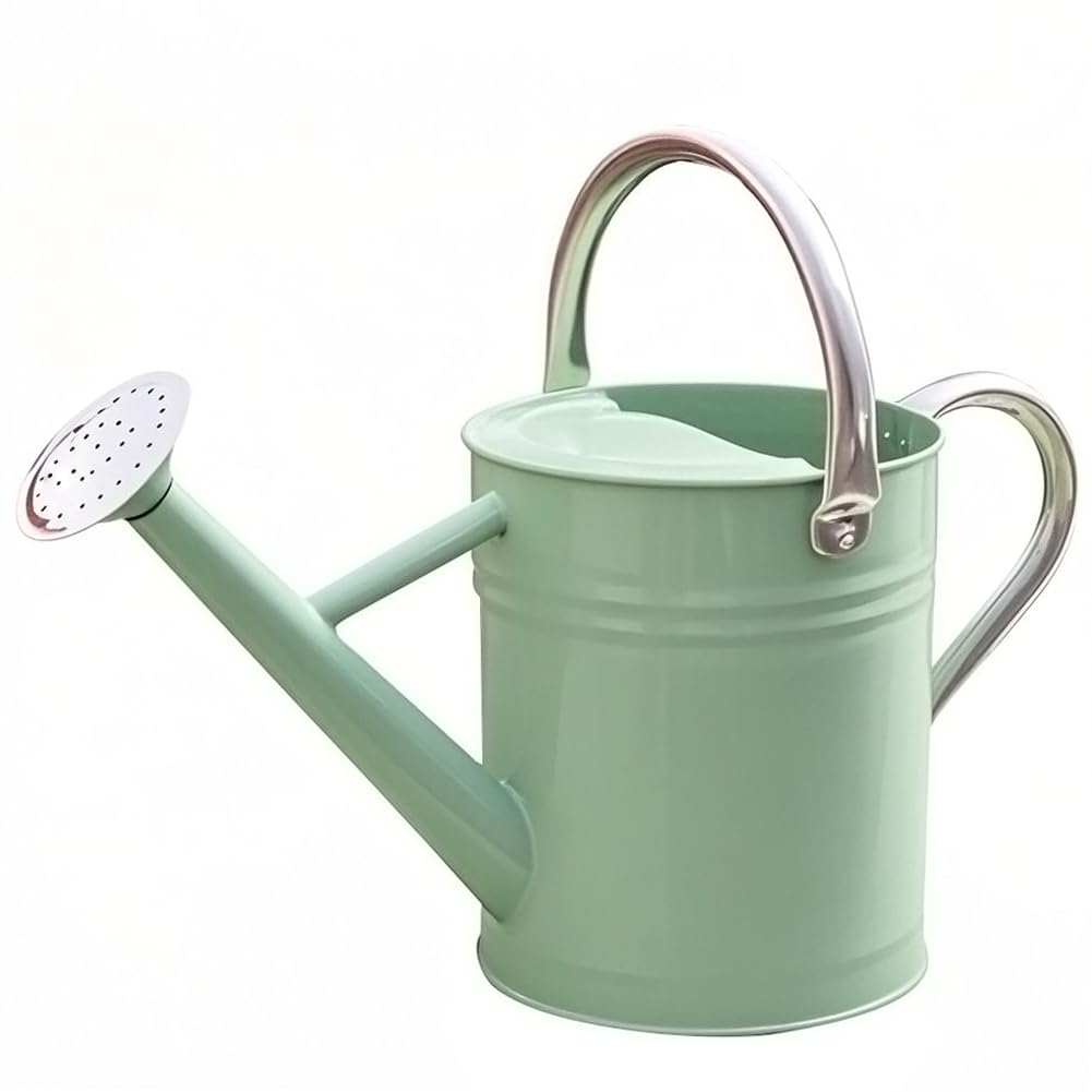 yourjoy Metal Watering Can, One Gallon Watering Cans Stainless Steel for Outdoor Indoor Garden Plants Watering (Cream Green)