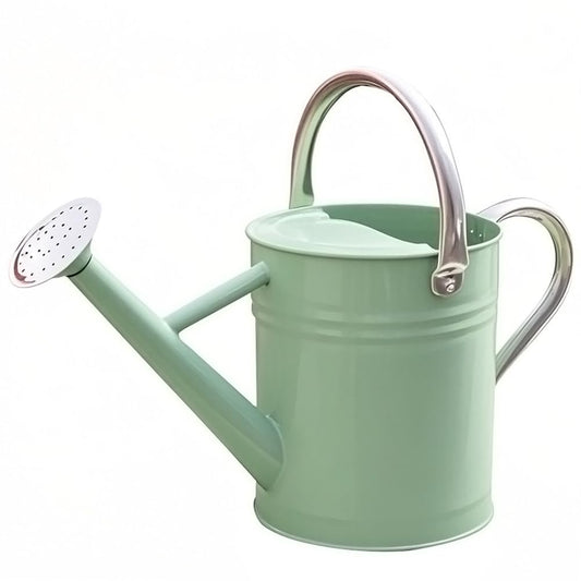 yourjoy Metal Watering Can, One Gallon Watering Cans Stainless Steel for Outdoor Indoor Garden Plants Watering (Cream Green)