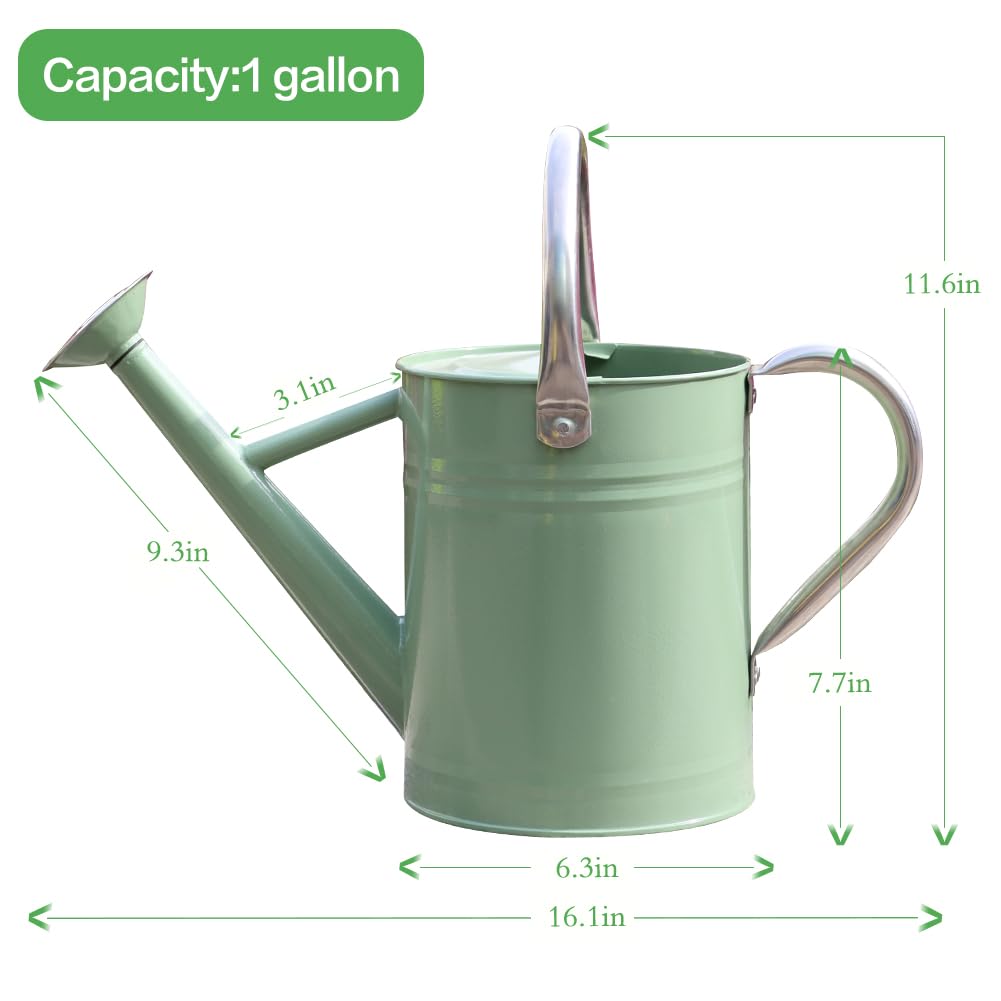 yourjoy Metal Watering Can, One Gallon Watering Cans Stainless Steel for Outdoor Indoor Garden Plants Watering (Cream Green)
