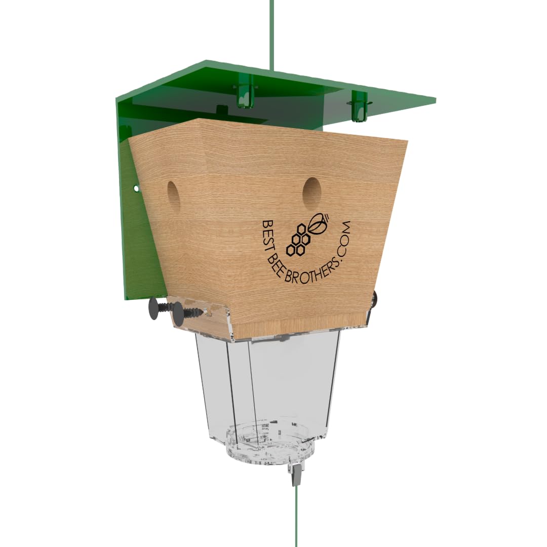 Best Bee Brothers Ultimate Pro Carpenter Bee Trap for Outside with Extra-Large, Clear External Receptacle, Internal Bee Vault & Spring-Loaded Door, 4.2” D x 5.8” W x 7.5” H (2 Pack)