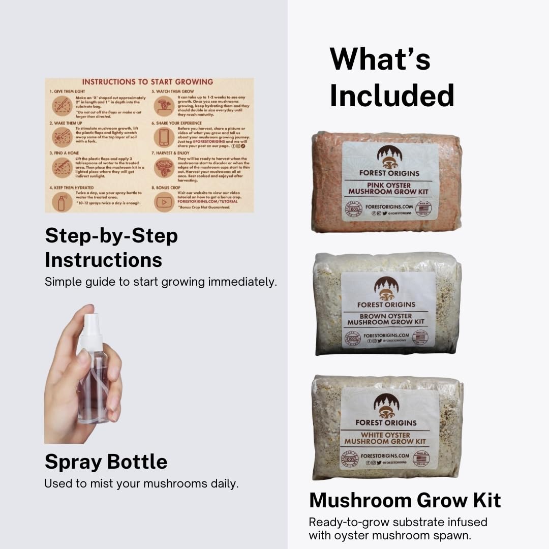 Forest Origins Specialty Trio Oyster Mushroom Grow Kit 3-Pack Variety - Beginner Friendly & Easy to Use, Grows in 10 Days | Handmade in California, USA | Top Gardening Gift, Holiday Gift & Unique Gift