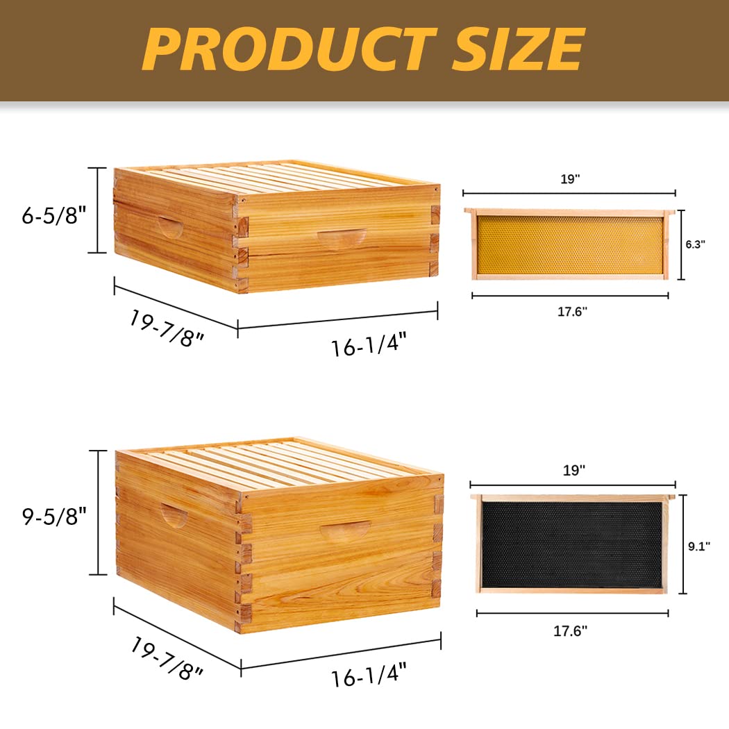 MayBee 10 Frame Screened Bottom Board Beehive Dipped in Original Beeswax, Bee Hives Kit Includes 1 Deep Box & 1 Medium Box with Beehive Frames and Wax Coated Foundations