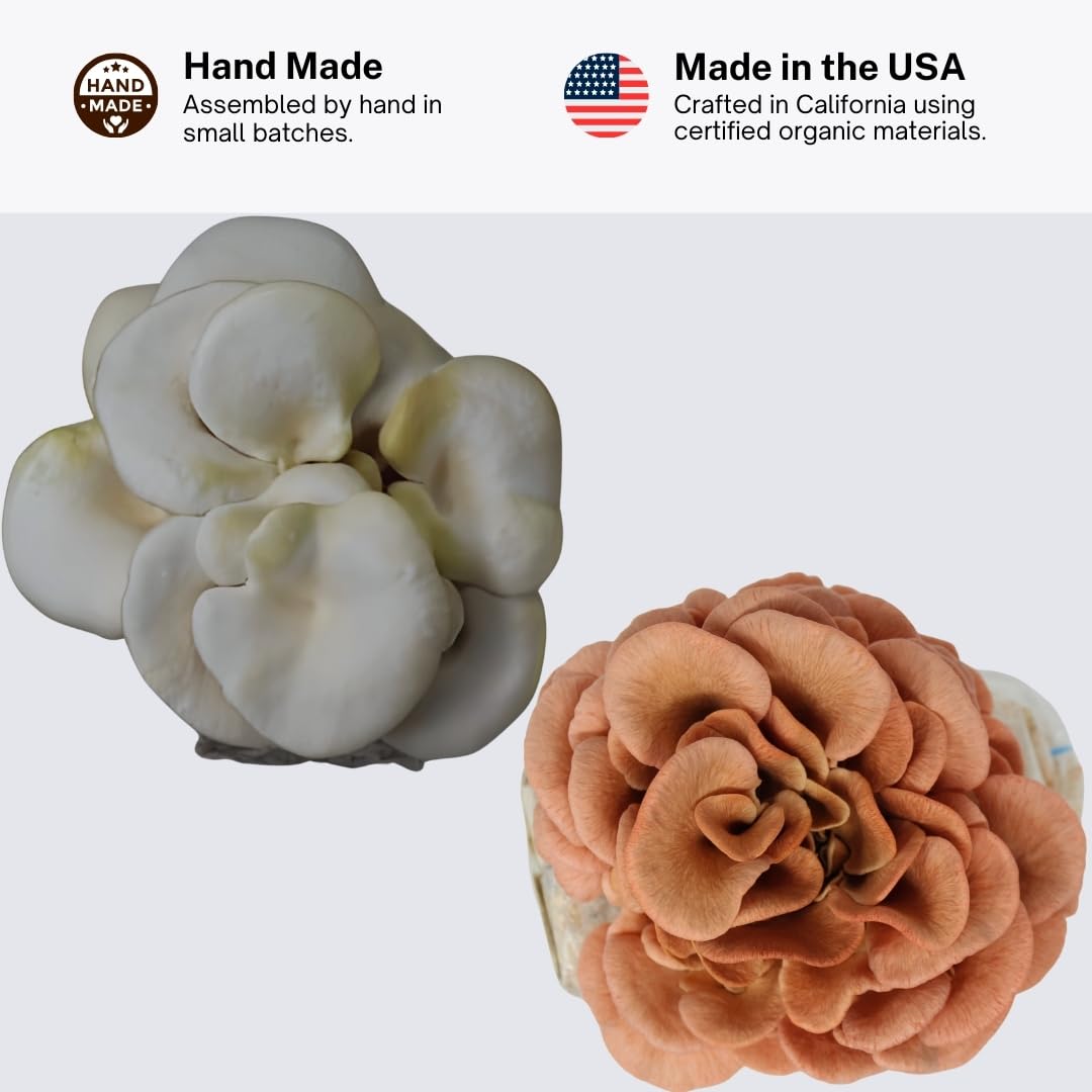 Forest Origins Oyster Mushroom Grow Kit 2-Pack, Pink and White Varieties, Harvest in 10 Days, Beginner Friendly, Handmade in California USA, Unique Gift Set