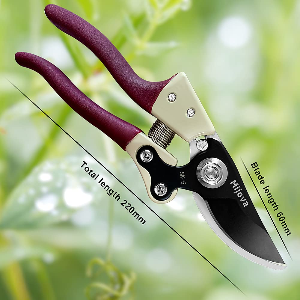 Professional Pruning Shears, Heavy Duty Garden Scissors & Flower Trimmers, Ultra Sharp Japanese SK5 Blade, Ergonomic Handle, Garden Pruners with Arthritis, Perfect Gardening Clippers (purple)