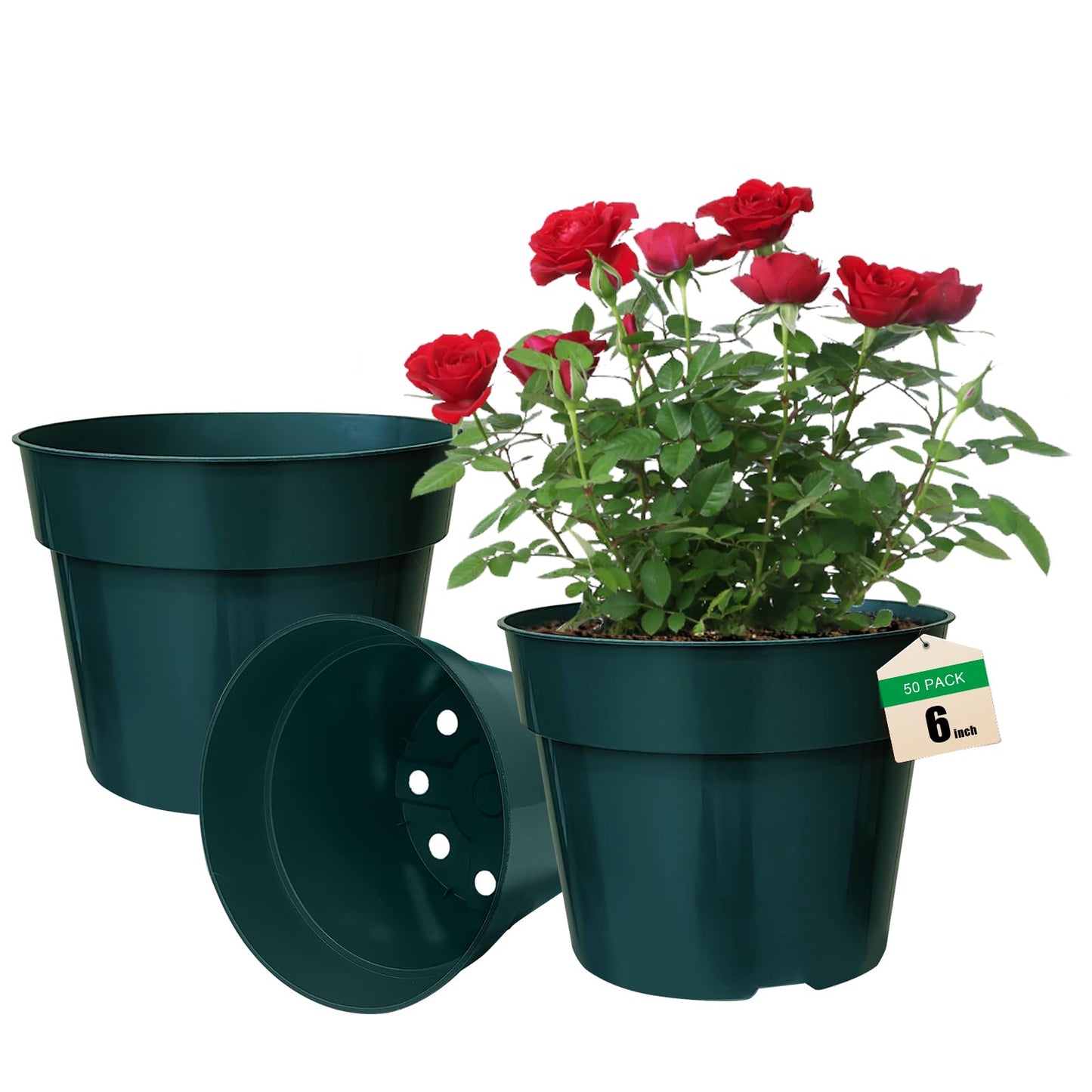 RooTrimmer 50 Pack 6 Inch Nursery Pots, Planting Grow Plastic Flower Pots, Thick Planters with Drainage Holes for Outdoor/Indoor Plants Succulent Herb (Green)