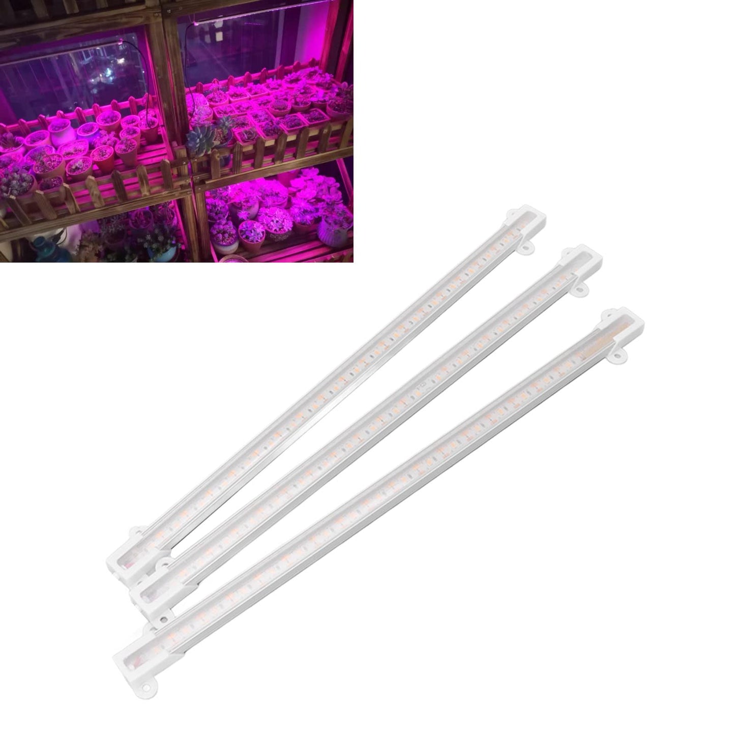 QANYEGN Solar Plant Grow Lamp, LED Plant Grow Light Strip, LED Grow Light for Outdoor Indoor Greenhouse(30W)