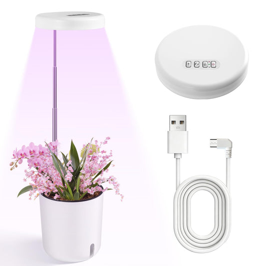 Raygrov Self-Watering Planter with Grow Light — Indoor Herb Garden Kit, Smart Plant Pot for Microgreens, Cat Grass, Catnip & Houseplants, 2-in-1 Wall + Desktop, USB 5W Full Spectrum LED