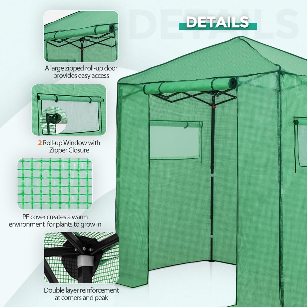 EAGLE PEAK 6x4 Portable Walk in Greenhouse, Pop Up Indoor Outdoor Greenhouse, Green House Kit with Zippered Roll-Up Doors and Windows, PE Cover, Clear/Green