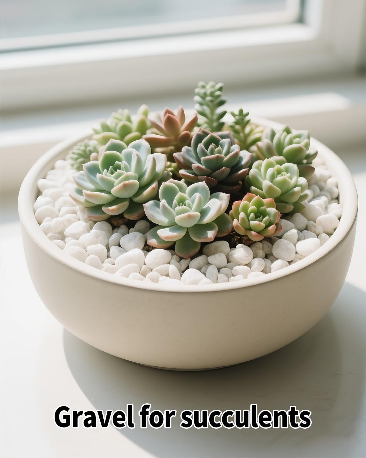 FAHAXIKI 12LB White Succulent & Cactus Gravel Pebbles - 1/4-3/8 Inch Natural Polished River Rocks, Decorative Stones for Plants, Terrariums, Vases, Aquariums & Outdoor Gardening