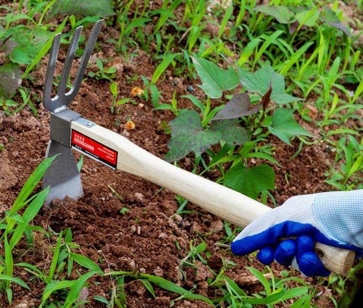 Garden Hoe,Garden Tools Digging Hoe and Rake, Hand Hoe with Wooden Handle for Loosening Soil and Weeding (2 in 1-Hoe and Rake)