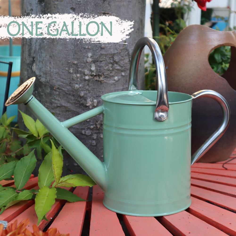 yourjoy Metal Watering Can, One Gallon Watering Cans Stainless Steel for Outdoor Indoor Garden Plants Watering (Cream Green)