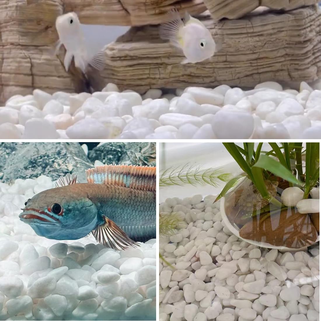 YISZM 5lb White Pebbles for Indoor Plants, 2-3 Inch Natural River Rocks, Snow White Decorative Stones, Ideal for Fish Tank, Vases, Crafting, Home Decor and Garden Landscaping Rocks