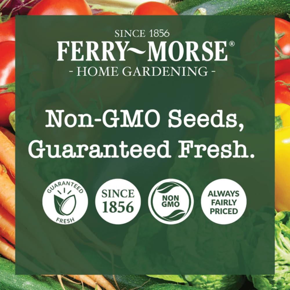 Ferry-Morse Easy Grow Garden Seed Variety Pack (10 Pack) – Organic Vegetable & Flower Seeds, Direct Sow Garden Kit for Raised Beds & Containers, Includes Pollinator-Friendly Varieties