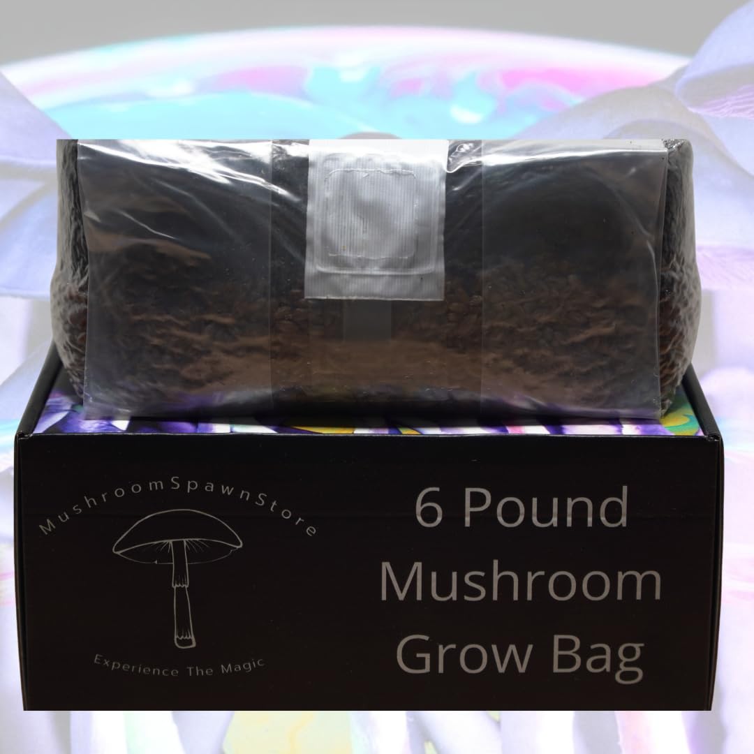 Jumbo 6 Pound Magic All in One Mushroom Grow Bag