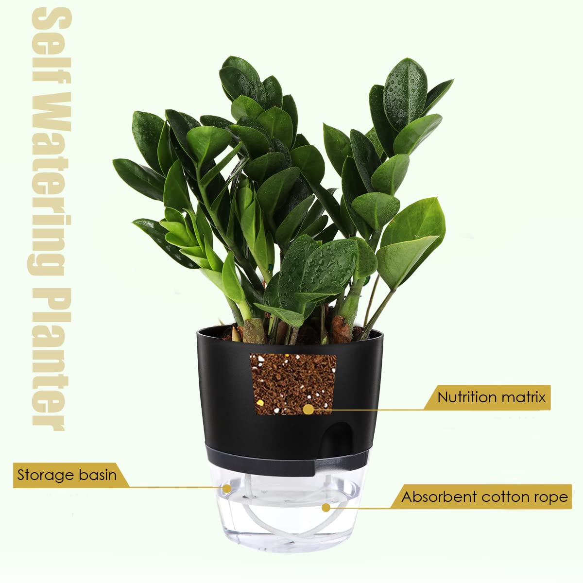 Vanavazon 6 Inch Self Watering Planter Pots for Indoor Plants, 3 Pack African Violet Pots with Wick Rope-Black