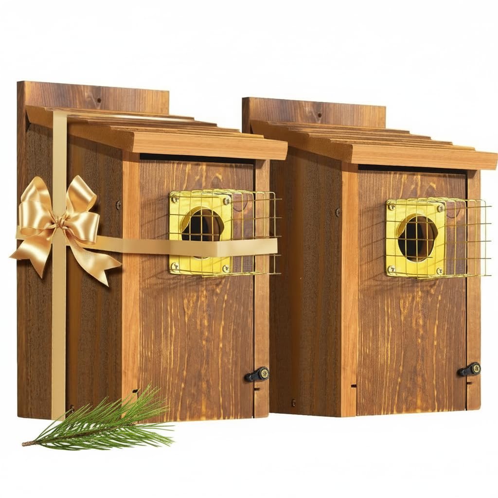 2pk Fortress Bluebird House for Outdoor Clearance - Metal Entry Cage, Mesh Base & Brass Guard - Cedar Bird House for Bluebirds, Finches, Patented Design, Weatherable 5 Years Usage, 6"x7", 2026 Updated