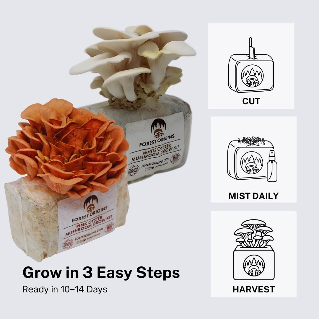 Forest Origins Oyster Mushroom Grow Kit 2-Pack, Pink and White Varieties, Harvest in 10 Days, Beginner Friendly, Handmade in California USA, Unique Gift Set
