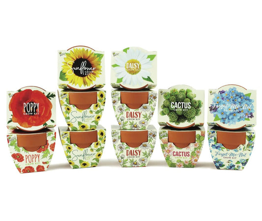 BUZZY Seeds Mini Terracotta Pots 12-Pack with Plant Seeds, Poppy, Sunflower, Daisy, Cactus and Forget Me Not, All-in-One Seed Starter Kit, Indoor Outdoor Gardening Gift, Wedding Favors, Mother's Day