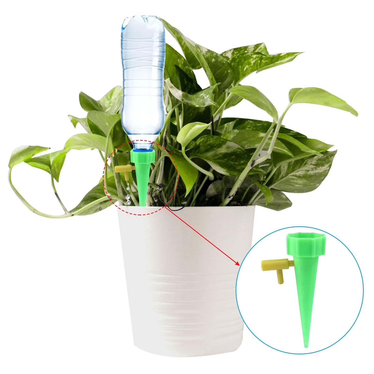 Aoserge Self Watering Spikes 10pcs–Automatic Plastic Drip Irrigation Devices for Indoor & Outdoor Plants, Adjustable Control Valve for Precise Watering(Blue & Green)