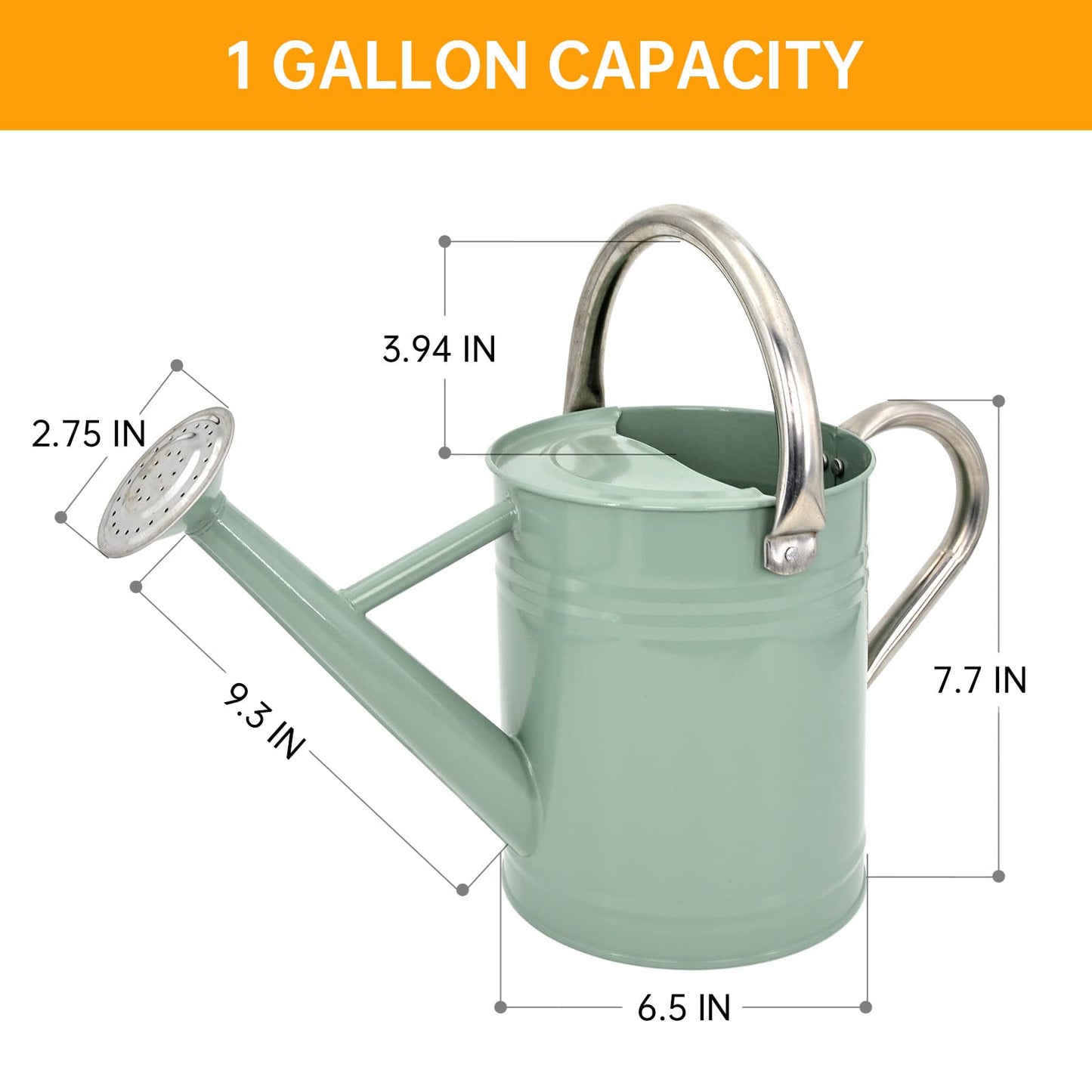 Lechloris Metal Watering Can for Outdoor Plants, Galvanized Steel Watering Can with Removable spout, 1 Gallon,Perfect Home & Garden Décor Cream Green