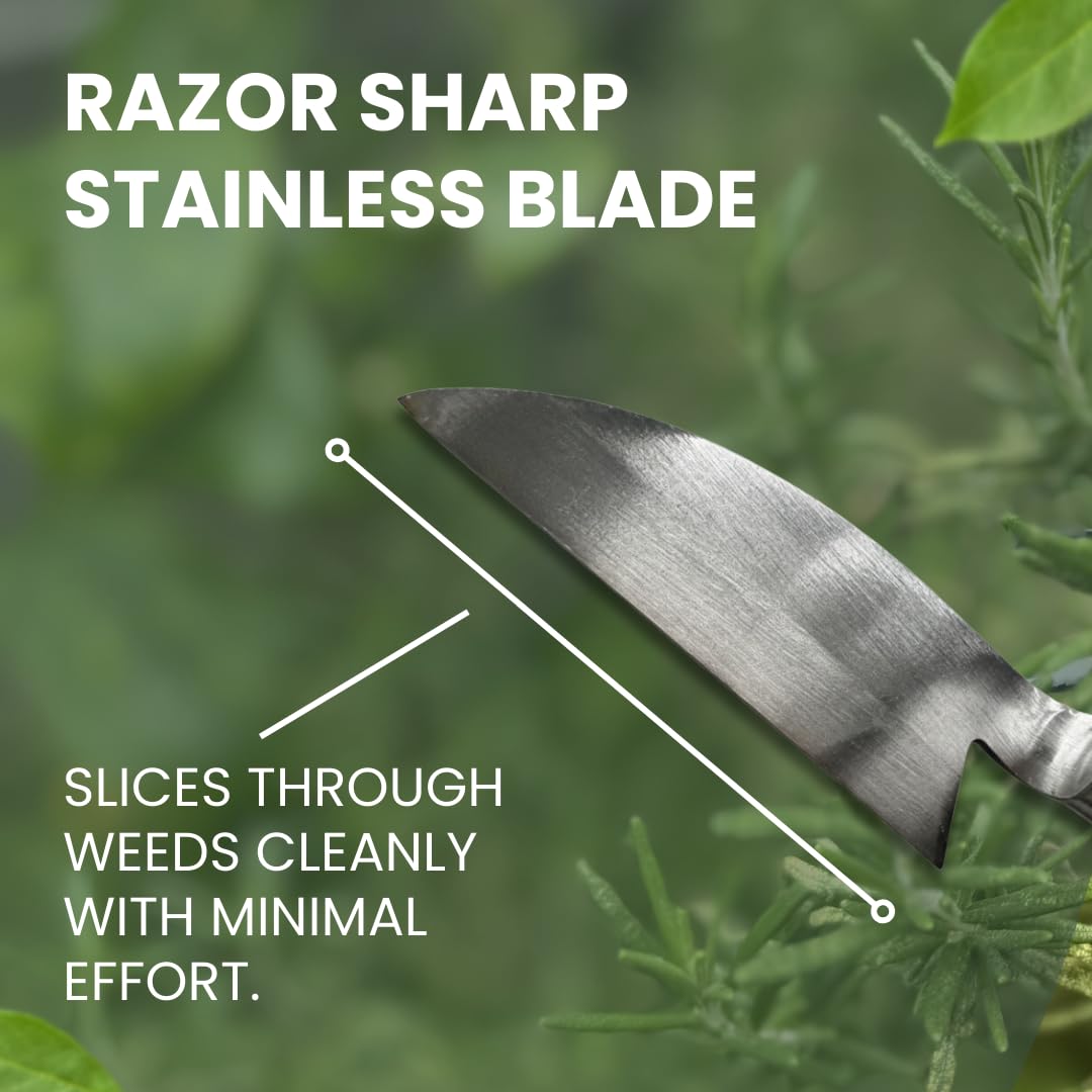 forest Originals Hounen Miyawaki Japanese Weeding Sickle, Twisted Stainless Steel Kama Weeder (4.7 in (12 cm) Blade), 13 in (33 cm) Wood Handle, Root Slicer for Garden Beds & Crabgrass, Made in Japan