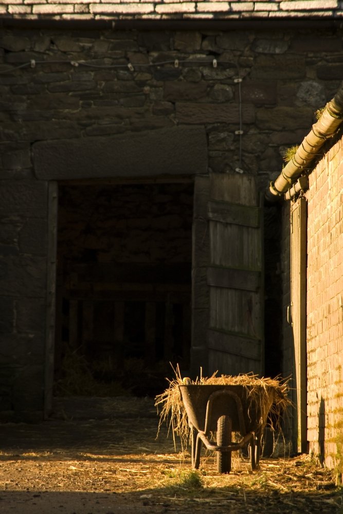 Wheelbarrow Beside A Barn Poster Print (11 x 17)