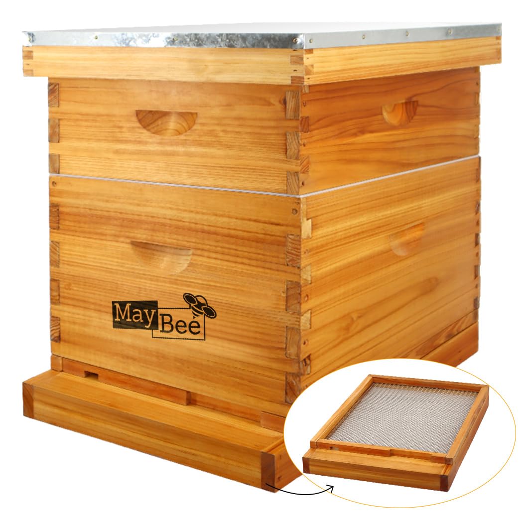 MayBee 8 Frame Screened Bottom Board Beehive Dipped in Original Beeswax, Bee Hives Kit Includes 1 Deep Box & 1 Medium Hive Box with Beehive Frames and Wax Coated Foundations