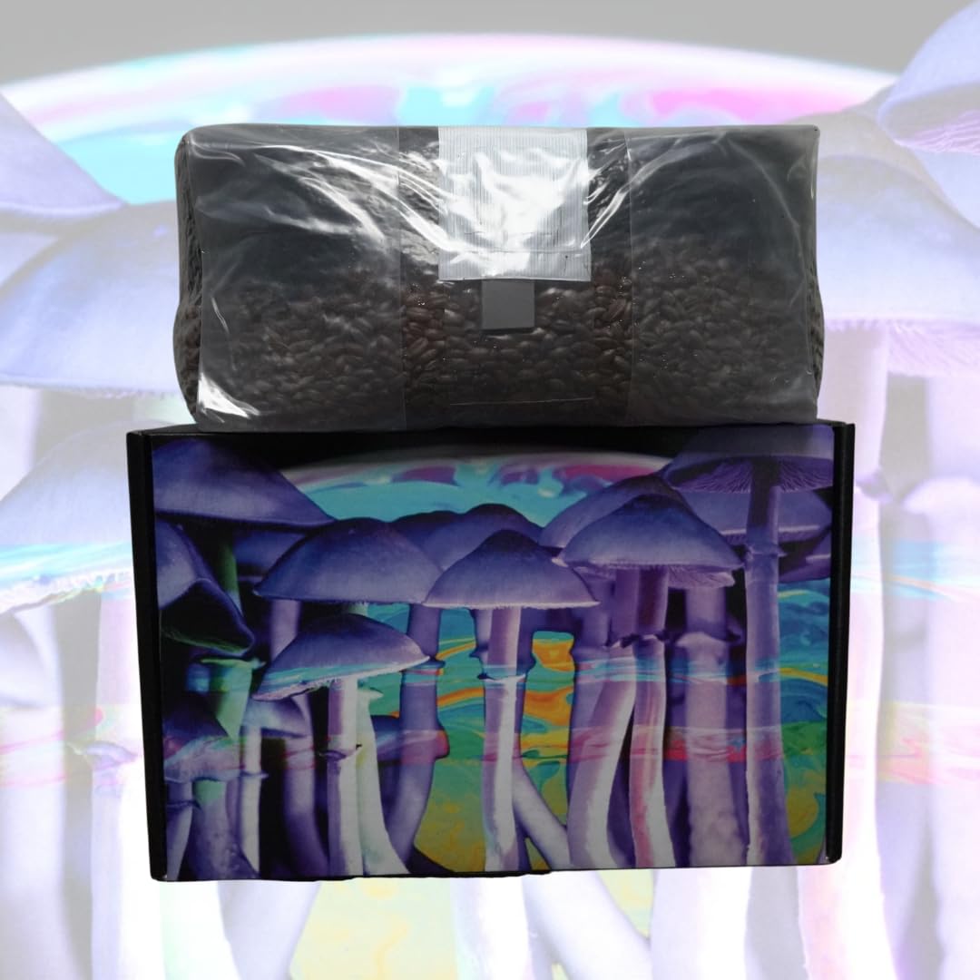 Jumbo 6 Pound Magic All in One Mushroom Grow Bag