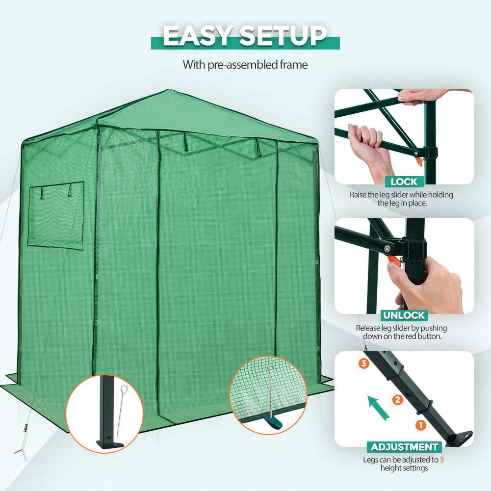 EAGLE PEAK 6x4 Portable Walk in Greenhouse, Pop Up Indoor Outdoor Greenhouse, Green House Kit with Zippered Roll-Up Doors and Windows, PE Cover, Clear/Green