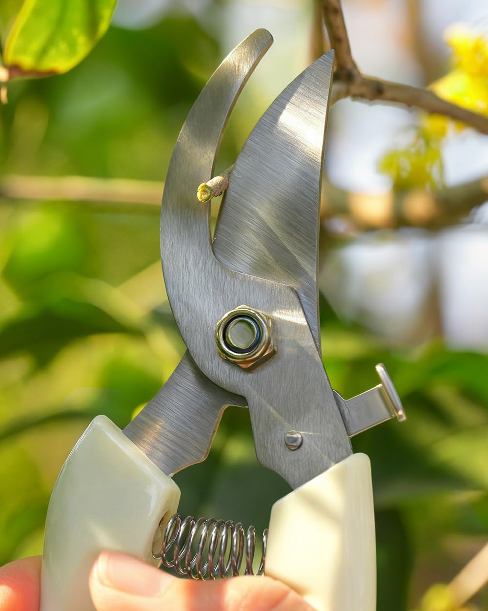 EWPJDK 4 Pack Garden Shears, Stainless Steel Shears Gardening Tools, Scissors, Garden Clippers, Pruning Shears (White)