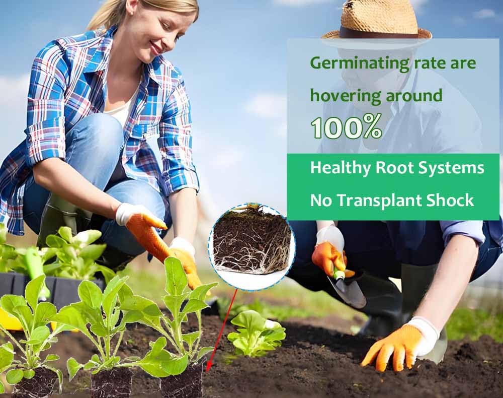 Handheld Soil Blocker Tool Kit - 4 Cell Heavy Duty 2 Inch Seed Starter Soil Block Maker for Seedlings, Cuttings, Greenhouses and Gardens (Ergonomic Design, Durable Metal Construction)