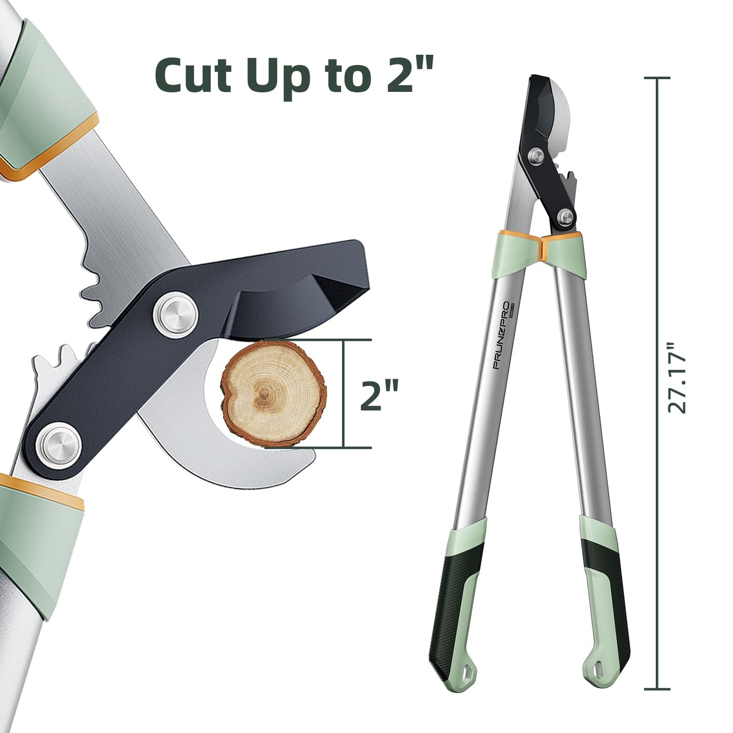 PrunePro Loppers for Tree Trimming Stainless Steel Branch Cutter Heavy Duty Bypass Tree Pruner Rust Resistant Sharp Blade Up to 2" Tree Limb Trimmer for Gardening