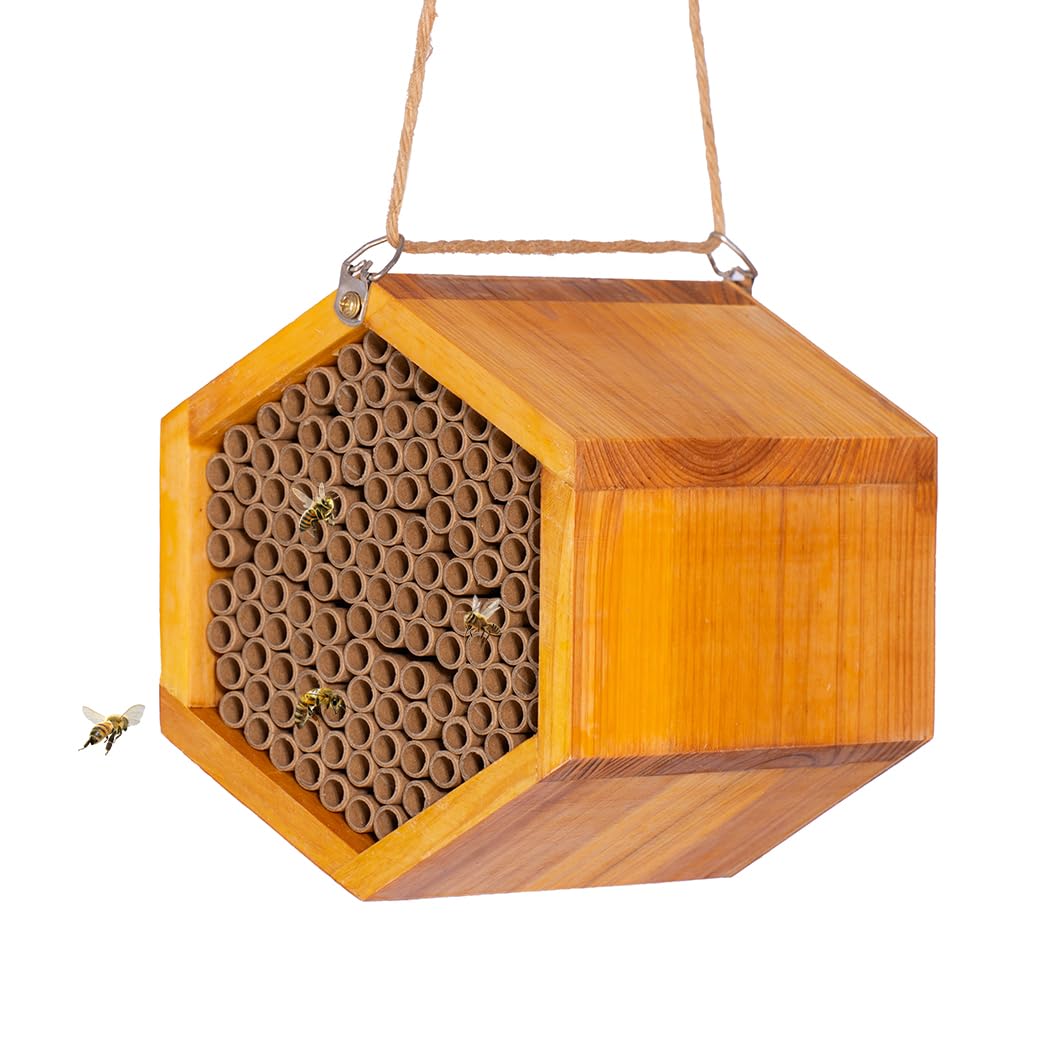 Mason Bee House - Handmade Natural Wooden Bee Hive Coated with Wax for Water-Proof and Long Service Life - Attracts Peaceful Bee Pollinators to Your Garden, Bee Houses for Garden