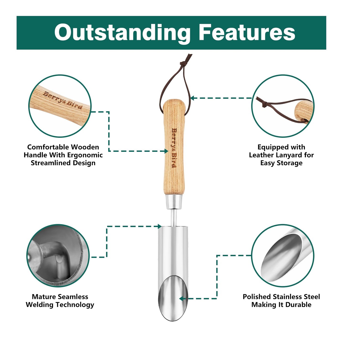 Berry&Bird Bulb Planter Tool, 12" Garden Bulb Transplanter Tool, Stainless Steel Manual Hole Digger with Wooden Handle, Transplanting Agricultural Dibble Tool for Seed Planting & Flower Planter